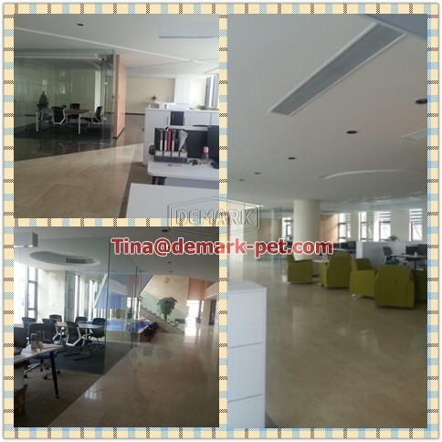 new office of sales department